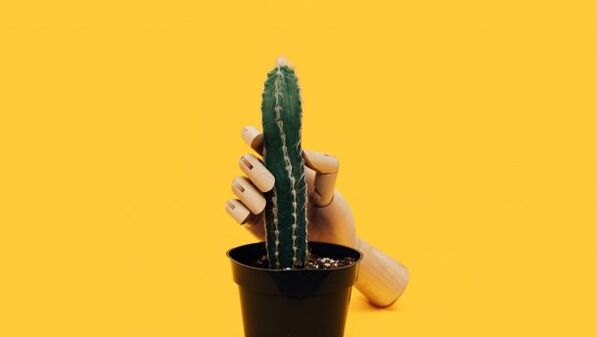 Tloušťka penisu na příkladu kaktusu